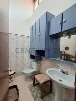 Vista 15
