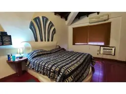 Vista 19