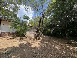 Vista 17