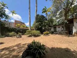 Vista 6
