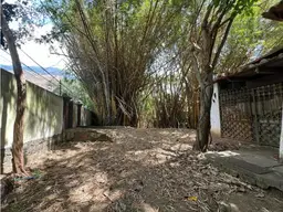 Vista 10