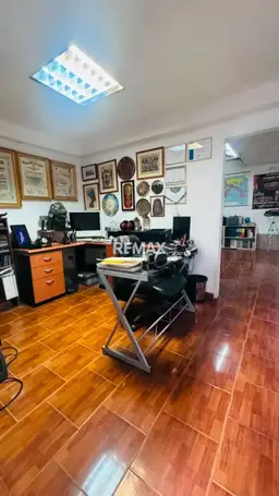 Vista 1