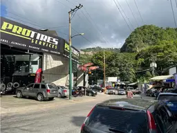 Vista 11