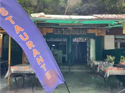 Vista 10