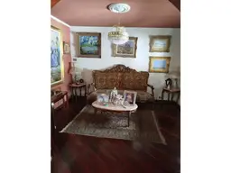 Vista 15