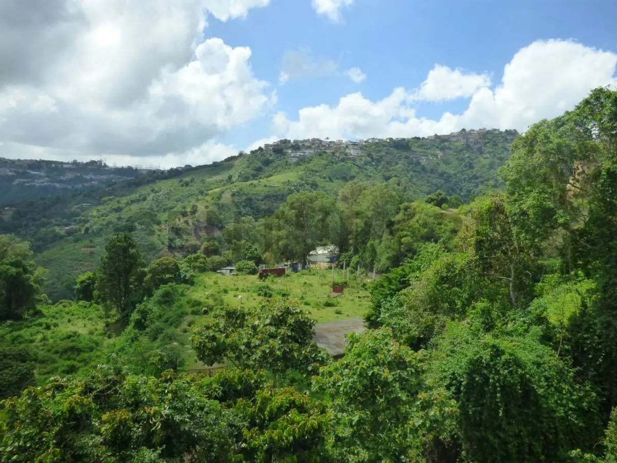 Venta De Casa con Anexo En El Km 14 Del Junquito Libertador Lfm - 21