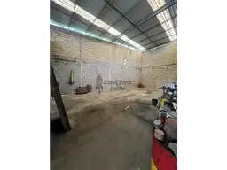 Vista 6