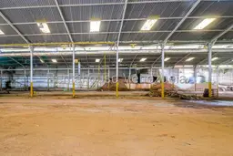 Vista 25