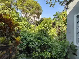 Vista 8