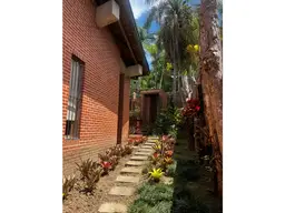 Vista 31