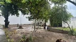 View 15