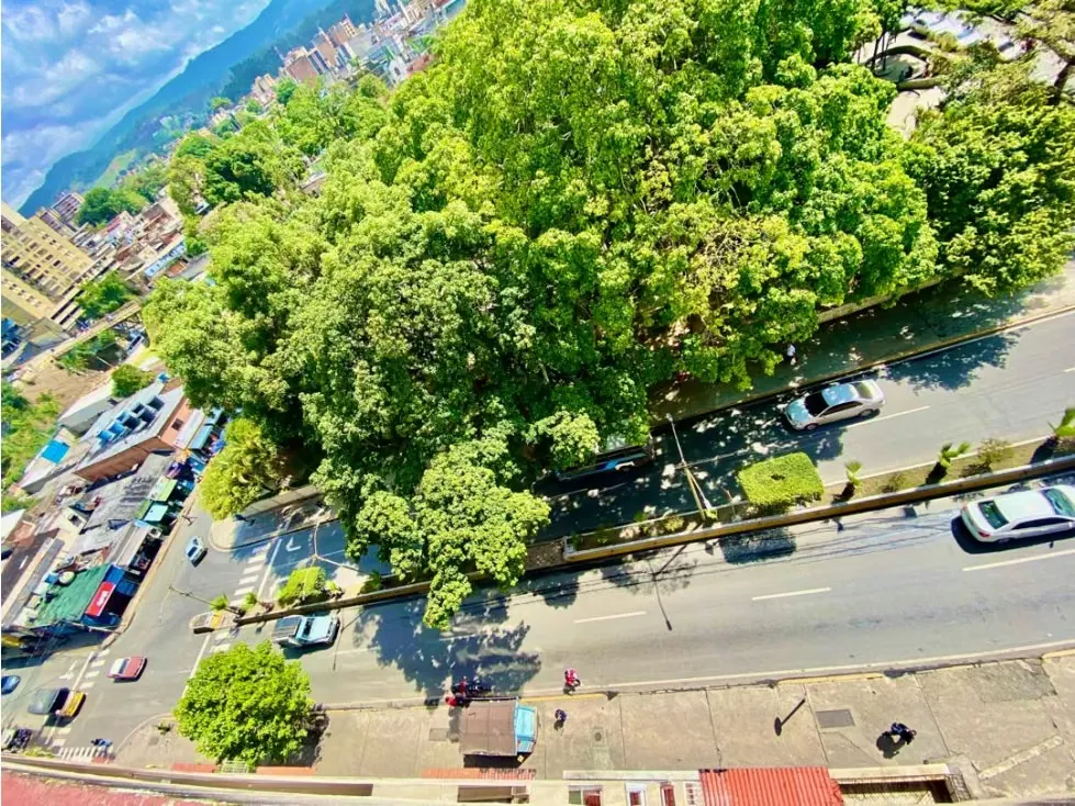 PH EN LOS TEQUES DE 400 M2, 4 HAB, 4 BAÑOS 2 P/E - 22