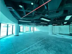 Vista 4