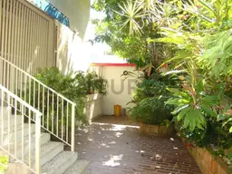 Vista 6