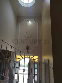 Vista 13