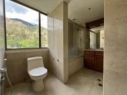 Vista 21