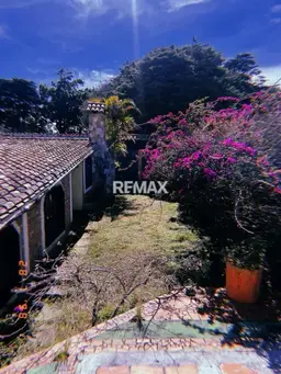 Vista 10