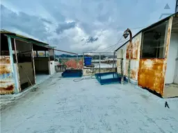 Vista 10