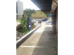 View 5
