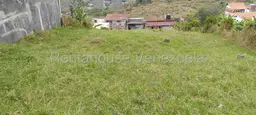 Vista 1