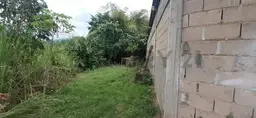 Vista 9