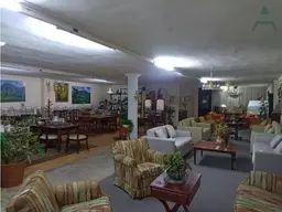 Vista 6