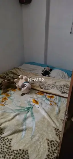 View 11