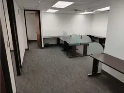 Vista 4