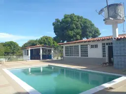 Vista 19