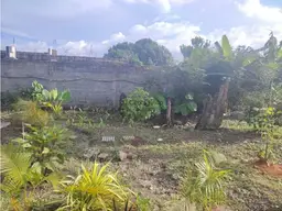 View 13