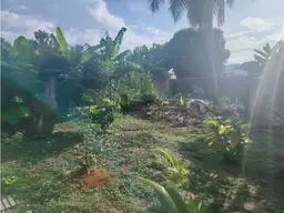 View 14
