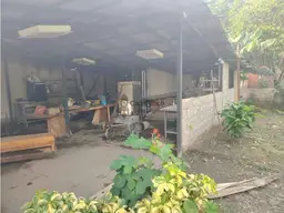 View 15