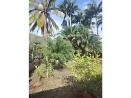 View 16