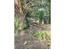 View 4