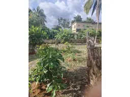 View 7