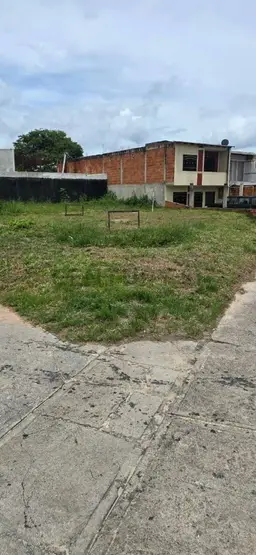 Vista 5