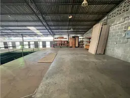 Vista 5