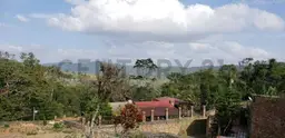 Vista 10