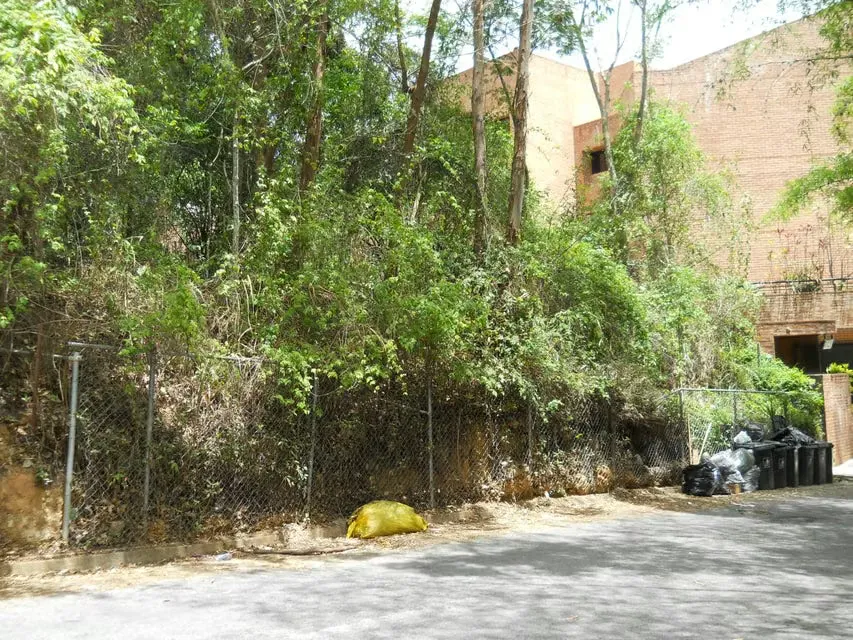 Terreno (Comercial) en Venta en El Peñon, Distrito Metropolitano