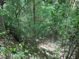View 12