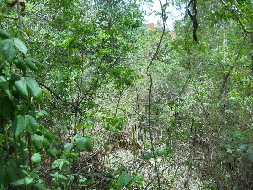 Terreno (Comercial) en Venta en El Peñon, Distrito Metropolitano - 13