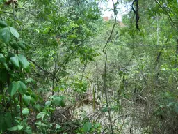 View 13
