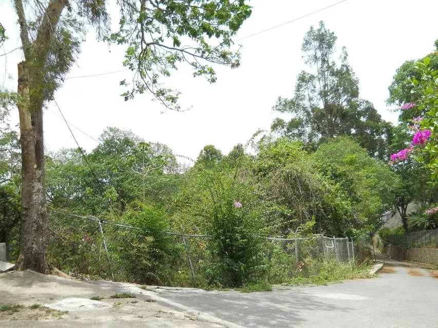 Terreno (Comercial) en Venta en El Peñon, Distrito Metropolitano - 2