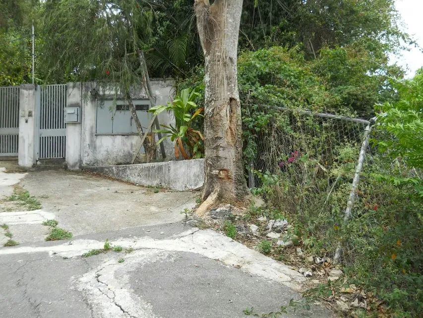 Terreno (Comercial) en Venta en El Peñon, Distrito Metropolitano - 4