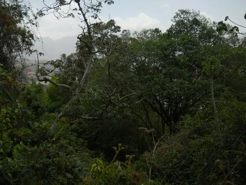 Terreno (Comercial) en Venta en El Peñon, Distrito Metropolitano - 9