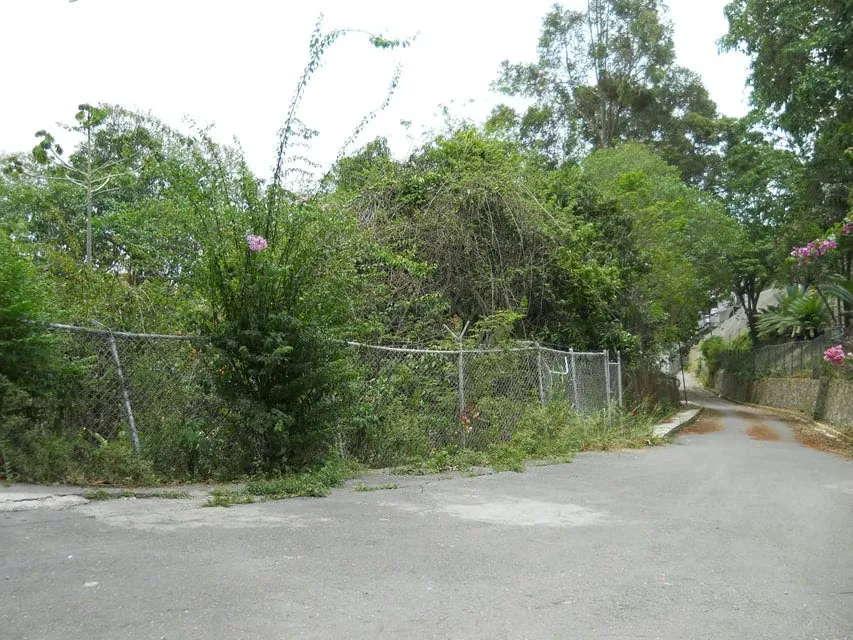 Terreno (Comercial) en Venta en El Peñon, Distrito Metropolitano - 10