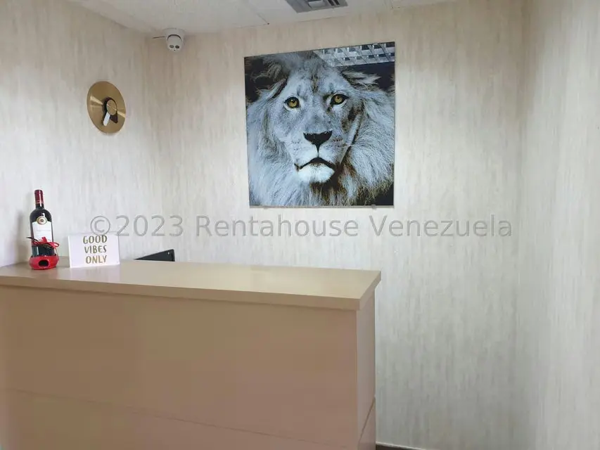 Comercial (Local Comercial) en Venta en Miranda, Distrito Metropolitano - 19