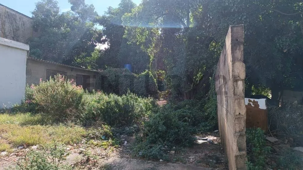 Terreno en venta - 5
