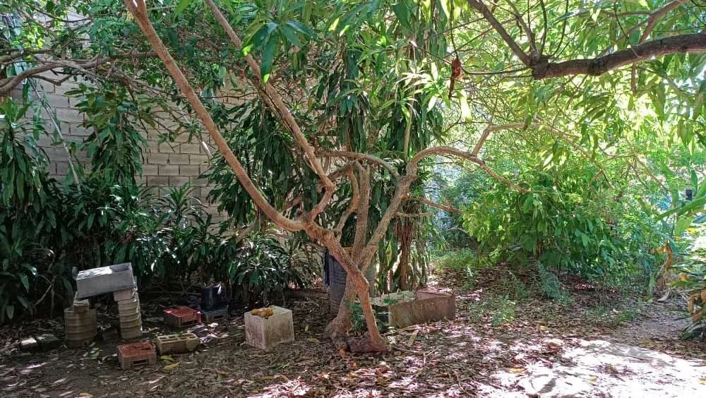 Terreno en venta - 7