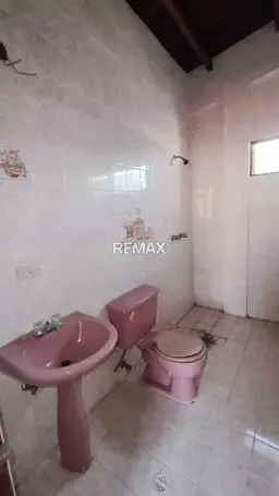 Vista 6